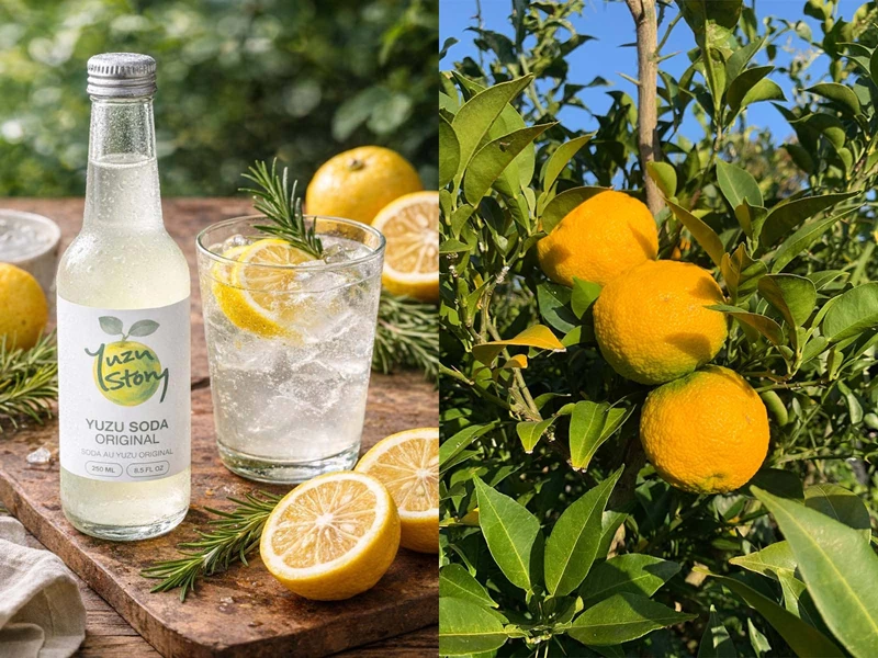 yuzu