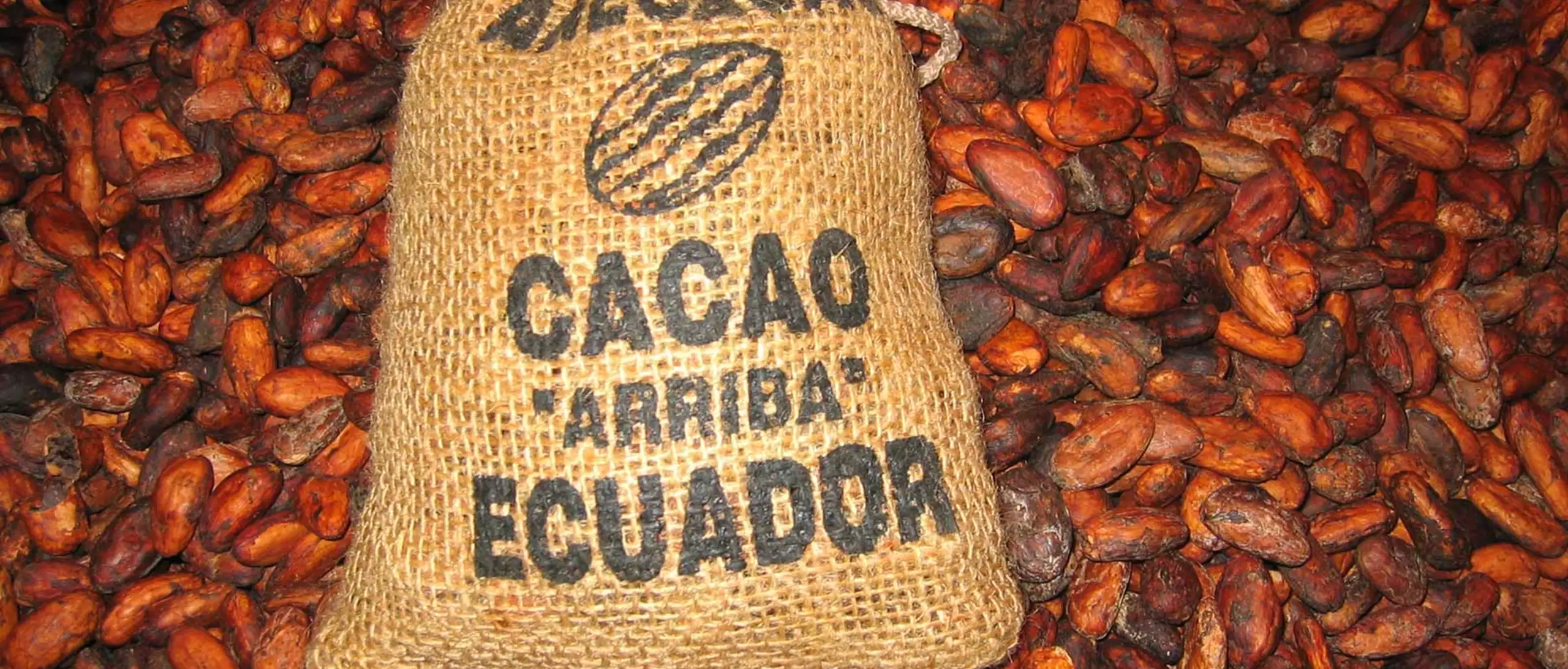 Arriba