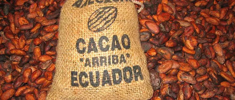 Arriba
