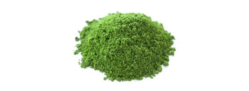 Matcha